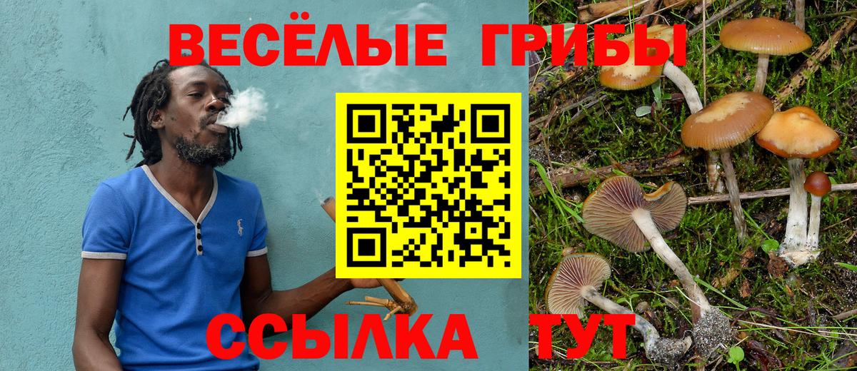 Галлюциногенные грибы GOLDEN TEACHER  Вход с VPN  Галлюциногенные грибы Psilocybe  Новоалтайск 