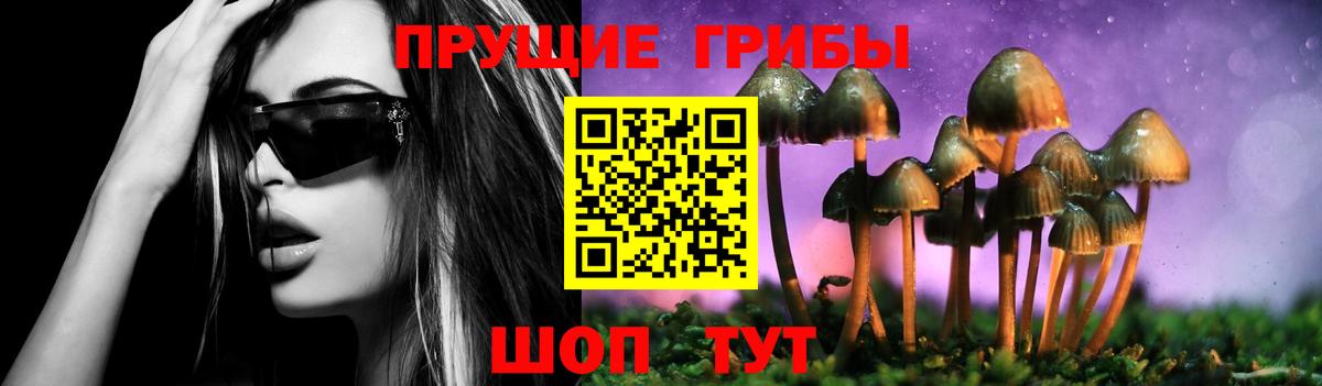 Галлюциногенные грибы ЛСД Новоалтайск